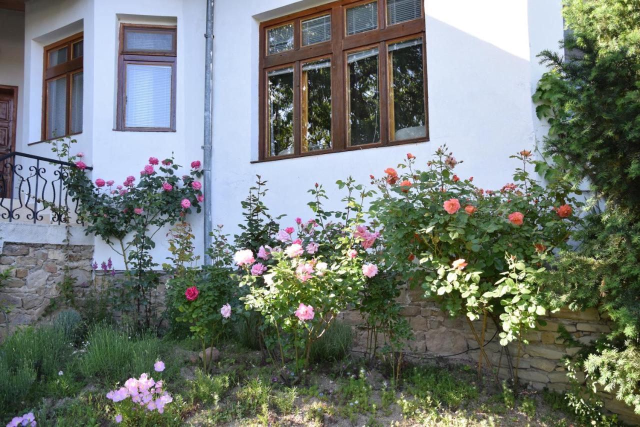 Guest House Astra Arbanasi Exteriér fotografie